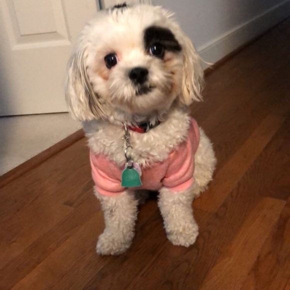 Meet your Posher, Claire - Picture 3 of 5